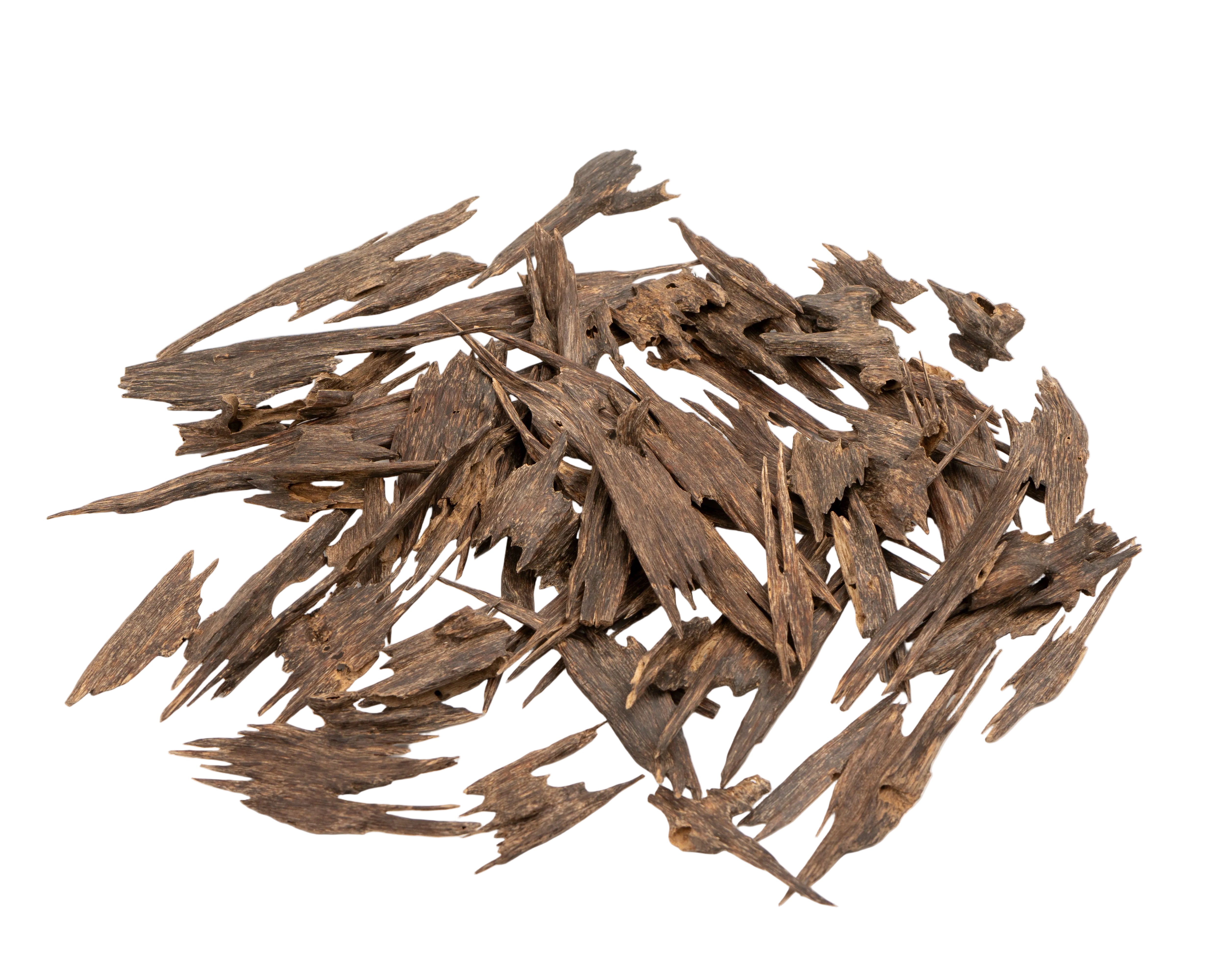 الوجه الهندي المزدوج لكبار الشخصيات